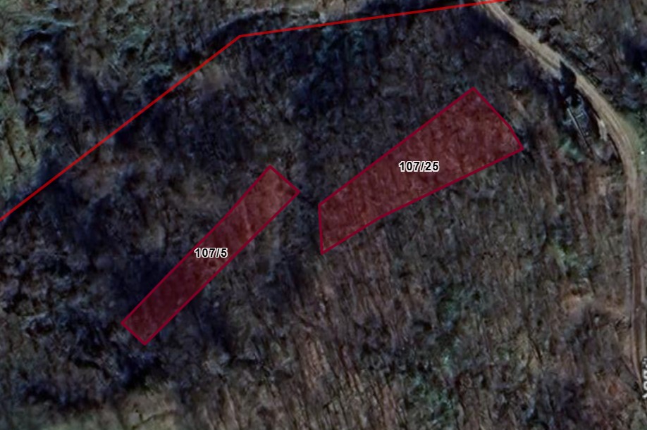 MABEL GAYRİMENKUL/BEŞİKDÜZÜ KALEGÜNEY MAH 3 PARSEL TEK FİYAT